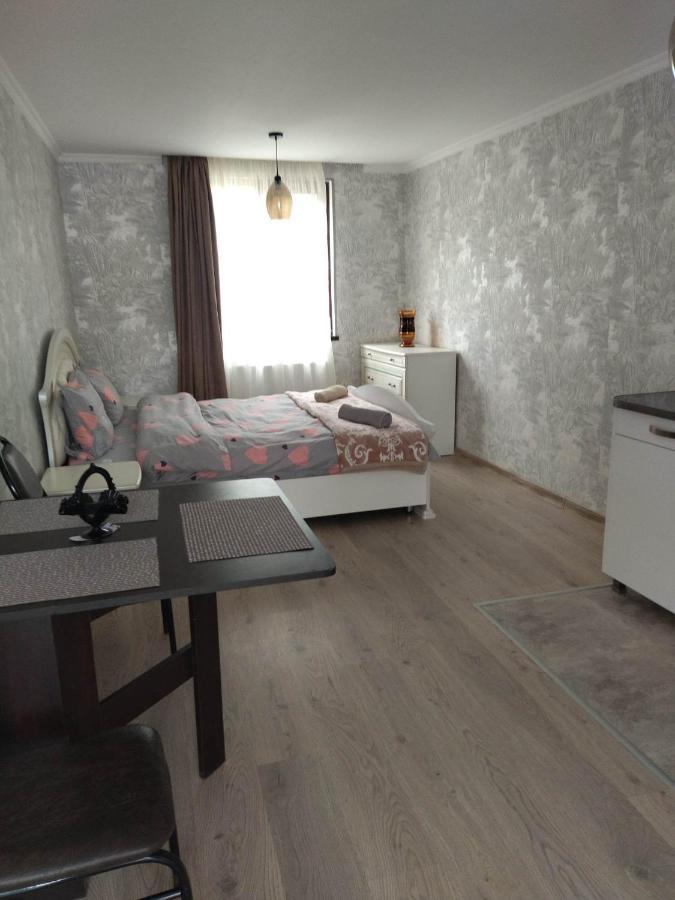 Dati Apartment Borjomi